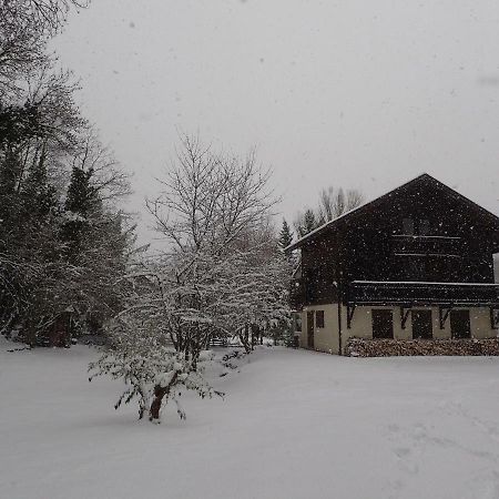 Le Grand Saule Appartement Aston Buitenkant foto