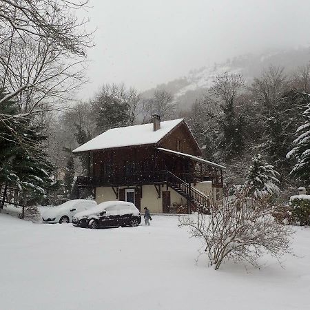 Le Grand Saule Appartement Aston Buitenkant foto